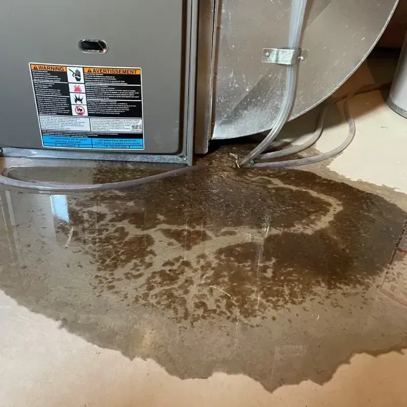 Appliance Leak Cleanup in Burlington, WA